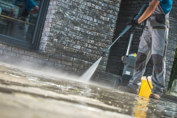 Best Fence Cleaning and Maintenance in Centreville, AL